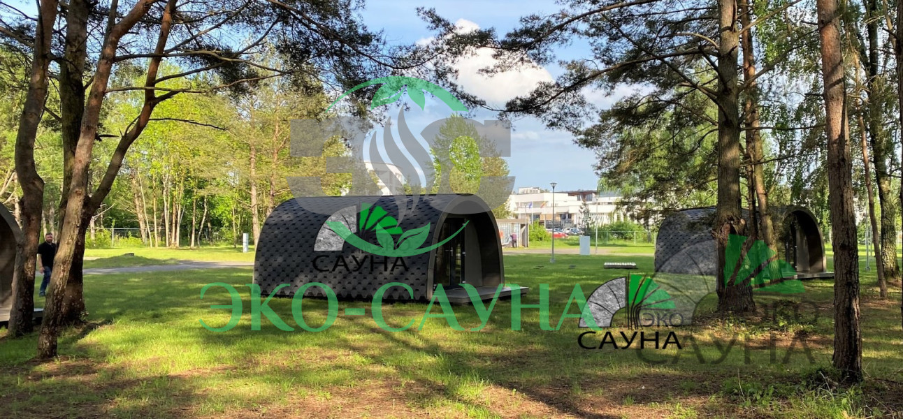 Гостевой домик викинг 6м