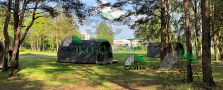 Гостевой домик викинг 6м